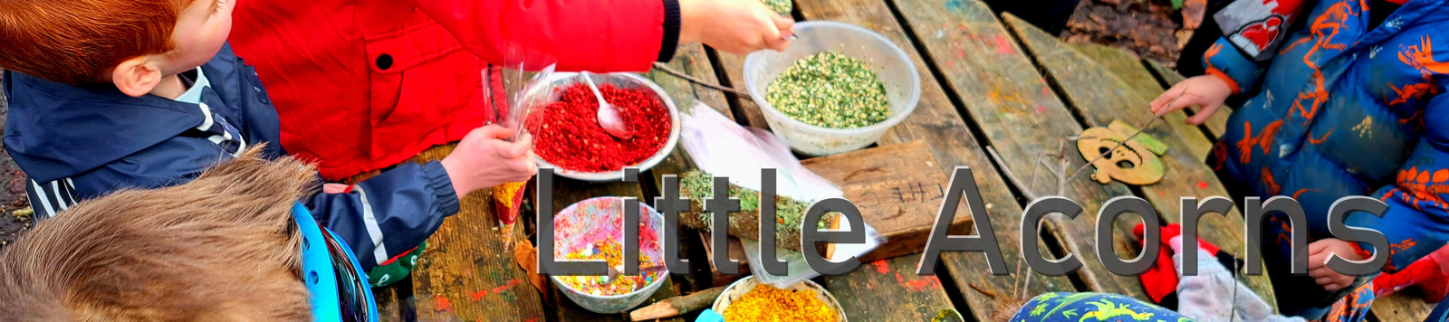 Lil Acorns – Toddler Troop – Autumn Term