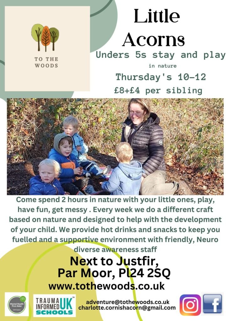 Lil Acorns – Toddler Troop – Autumn Term